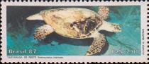 Черепаха Бисса (Eretmochelys imbricata)