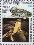 Амбоинская шарнирная черепаха (Cuora amboinensis)