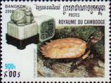 Горная черепаха (Geoemyda spengleri)