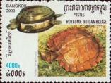 Колючая черепаха (Heosemys spinosa)