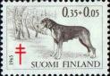 Финская водяная собака
