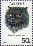 Персидская черная кошка