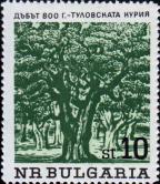 800-летний дуб в Туловой роще