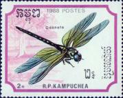 Красотка блестящая (Calopteryx splendens)