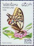 Махаон (Papilio machaon)