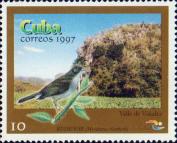 Долина Виньялес. Кубинский дрозд-отшельник (Myadestes elisabeth)
