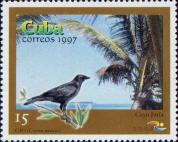 Кайо Хутиас. Кубинский ворон (Corvus nasicus)