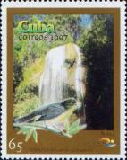 Водопад Сороа. Кубинский лесной певун (Dendroica pityophila)