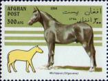 Домашняя лошадь (Equus ferus caballus), олигоцен (Oligocene)