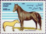 Домашняя лошадь (Equus ferus caballus), плейстоцен (Pleistocene)