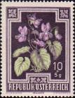 Душистая фиалка (Viola odorata)
