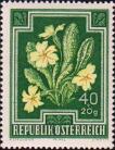 Первоцвет бесстебельный (Primula acaulis)