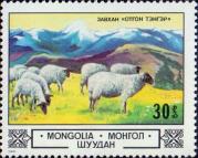 Овцы в горах