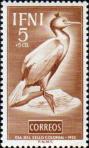 Хохлатый баклан (Phalacrocorax aristotelis)