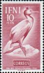 Хохлатый баклан (Phalacrocorax aristotelis)