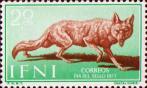 Обыкновенный шакал (Canis aureus)