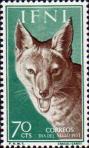 Обыкновенный шакал (Canis aureus)