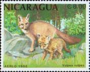 Обыкновенная лисица (Vulpes vulpes)