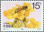 Медоносная пчела (Apis mellifera)