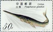Китайский веслонос (Polyodon gladius)