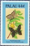 Парусники (Papilionidae), сметанное яблоко (Annona muricata)