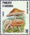 Опёнок луговой (Marasmius oreades)