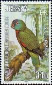 Синелицый амазон (Amazona versicolor)