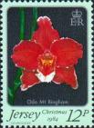 Орхидея «Гора Бингхэм»