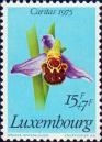 Офрис пчелоносная (Ophrys apifera)