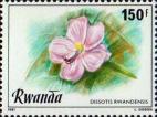Dissotis rwandensis