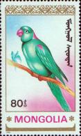 Александров кольчатый попугай (Psittacula eupatria)