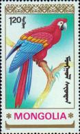 Красный ара (Ara macao)