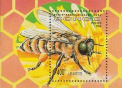 Медоносная пчела (Apis mellifica)