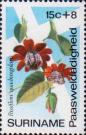 Страстоцвет четырёхгранный (Passiflora quadrangularis)
