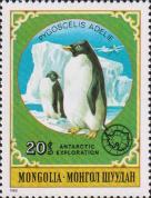 Пингвин Адели (Pygoscelis adeliae)
