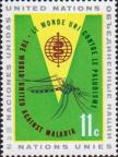 Малярийный комар (Anopheles sp.)