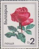 Роза  (Rosa hybrid)