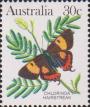 Тасманская прядь (Pseudalmenus chlorinda)