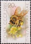 Рабочая пчела, собирающая нектар 