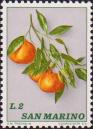 Мандарин (Citrus reticulata)