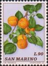 Абрикос обыкновенный (Armeniaca vulgaris)