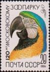 Попугай ара 