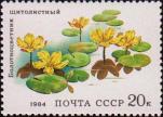 Щитолистный болотноцветник 