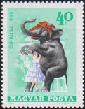Слон и укротитель