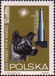 Собака Лайка - «пассажир» второго советского ИСЗ (запущен 3/XI 1957). Ракета-носитель спутника на старте