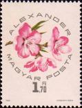 Цветы персика «Александер»