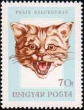 Лесная кошка (Felis silvestris)