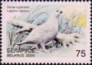 Белая куропатка (Lagopus lagopus)