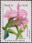 Аметистовоухий колибри (Colibri serrirostris). Каттлея Варнера (Cattleya warneri)