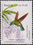 Колибри-изумруд златохвостый (Chlorostilbon aureoventris). Родригезия красивая (Rodriguezia venusta)